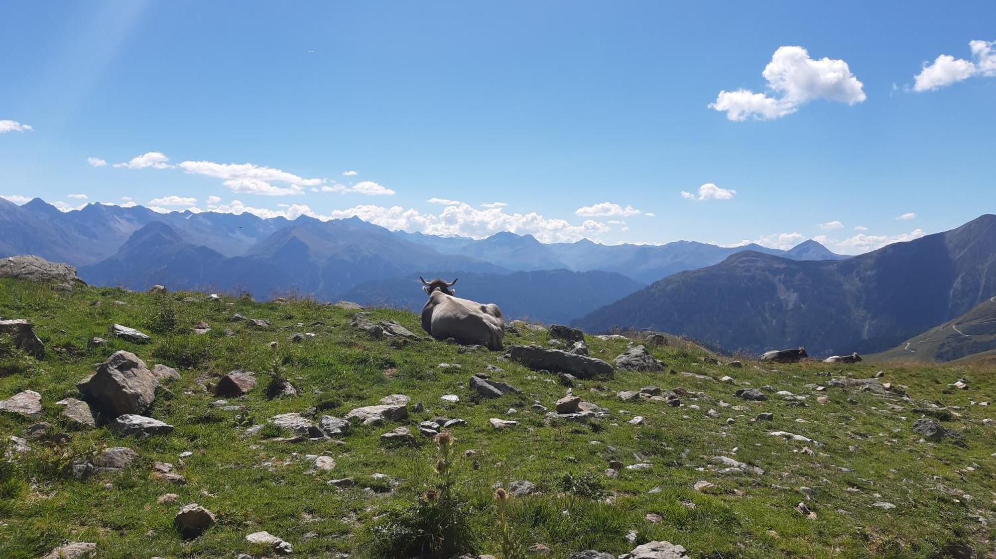 Laerchenhof Serfaus Buitenkant foto